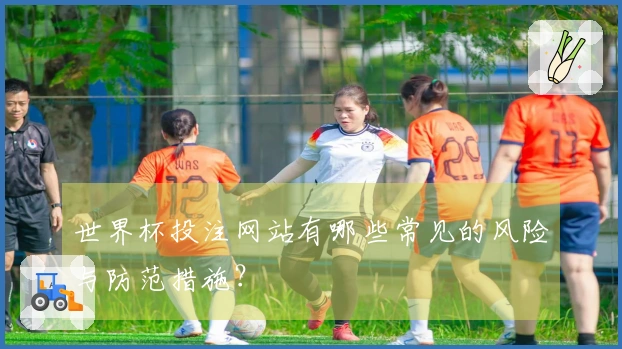 世界杯投注网站有哪些常见的风险与防范措施?