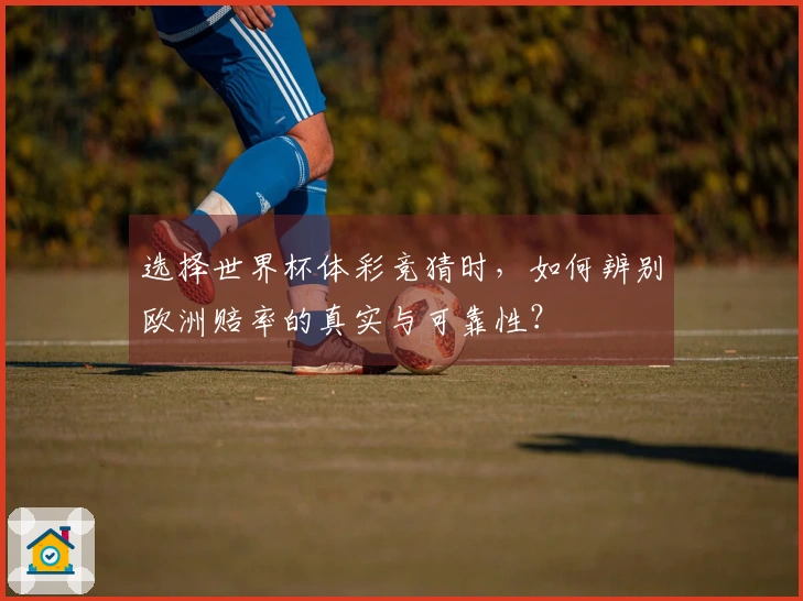 选择世界杯体彩竞猜时,如何辨别欧洲赔率的真实与可靠性?